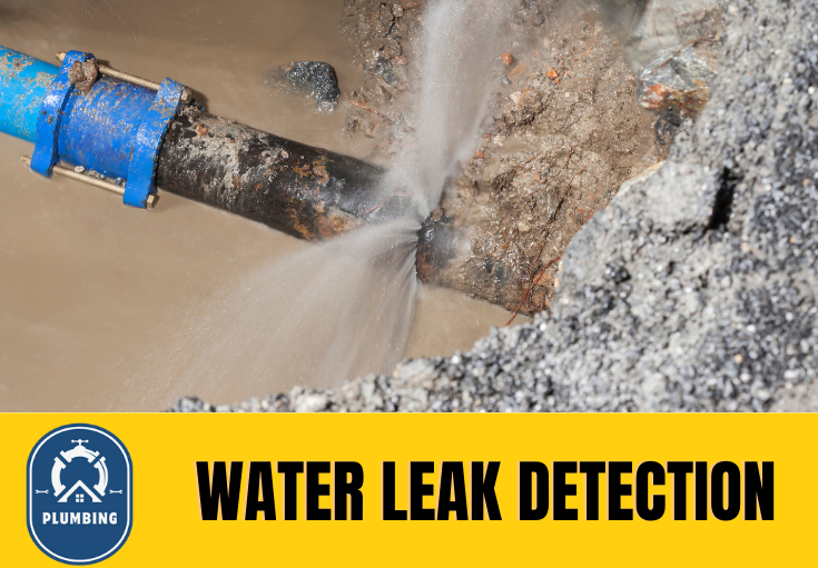 leak detection Crayford